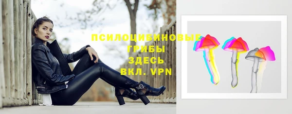 дмт Армянск