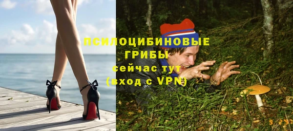 герыч Арсеньев