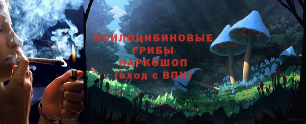 дмт Армянск