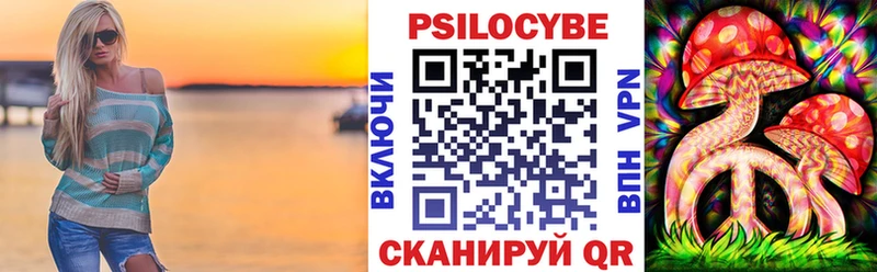 даркнет сайт  Карачаевск  Галлюциногенные грибы Psilocybe 