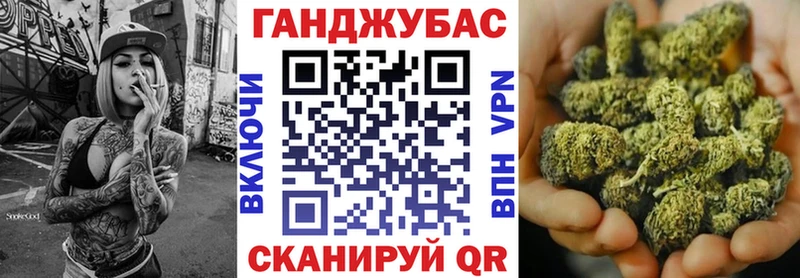 Конопля планчик  купить наркотики цена  Карачаевск 